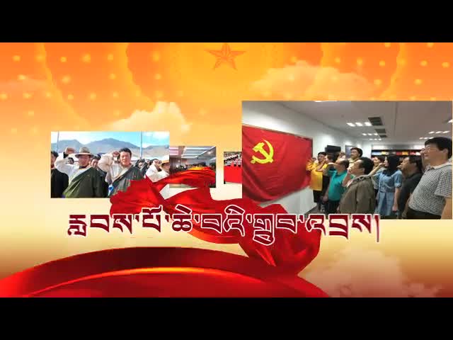慶祝中國(guó)共產(chǎn)黨成立95周年