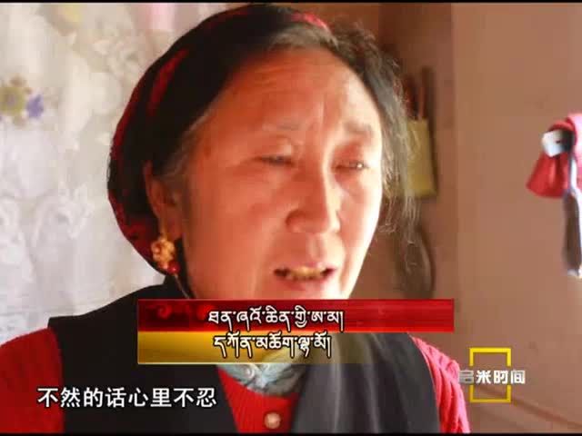 生命禮贊——譚曉琴醫生的一天（11.17）