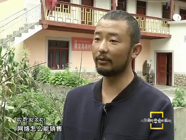 土豆上網(wǎng)記（11.02）