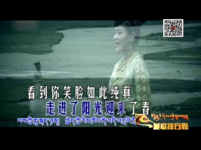 藏歌排行榜（藏语版0228）