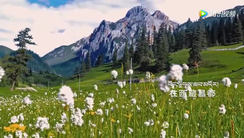 【何止是美】昌都藍天圣潔產業概念短片是醬子的
