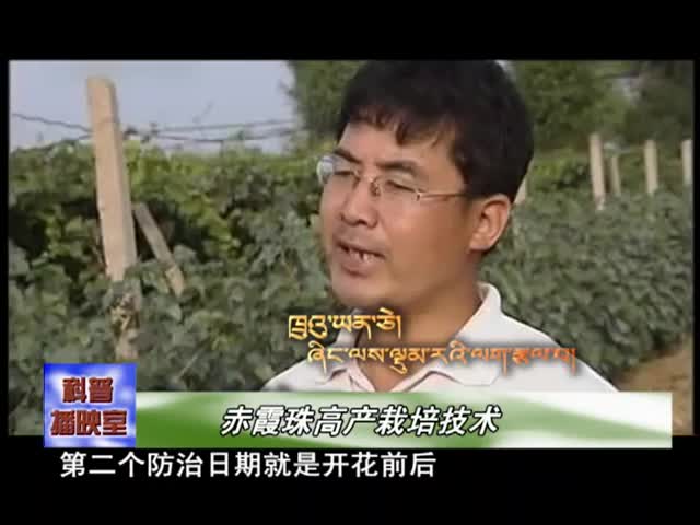 云丹學科技1022