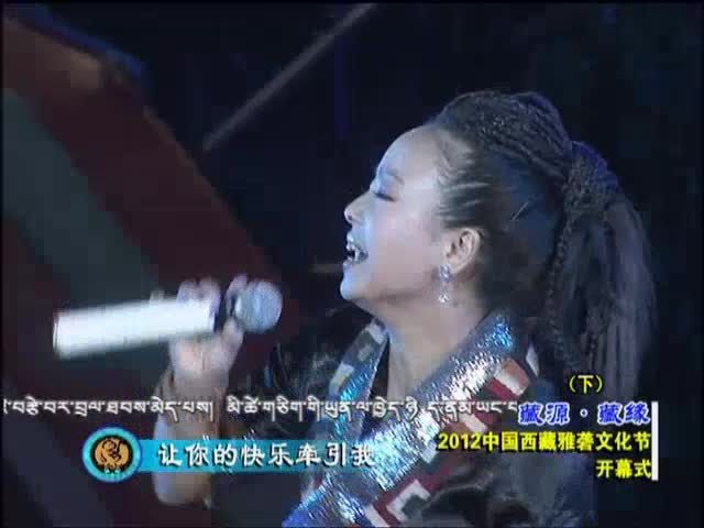 2012西藏雅礱文化節開幕式（下）8.18