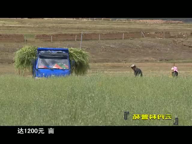 云丹科普苑（12.28）