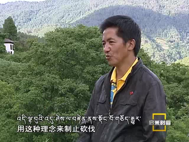 綠色巴珠