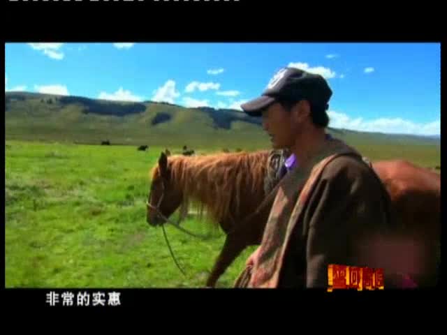 紅原畜牧（9.07）