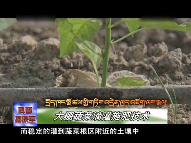 云丹學科技0903