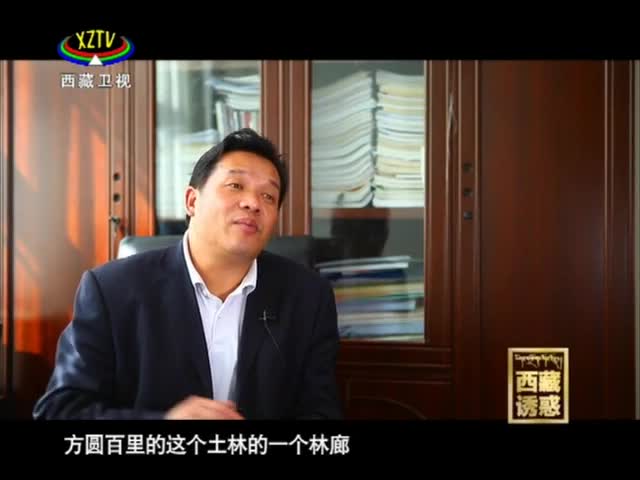 《西藏誘惑》阿里古堡之謎（上）