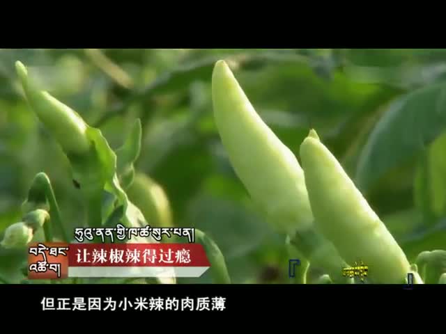 云丹科普苑（02.01）
