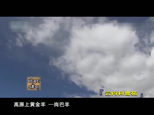云丹科普苑（01.04）