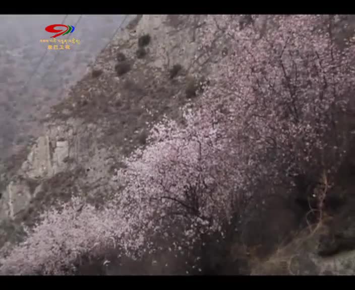 松潘：賞花美景正當時