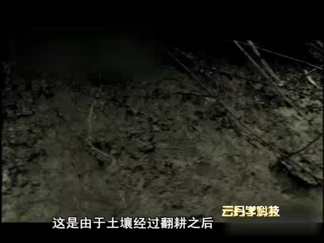 云丹學科技