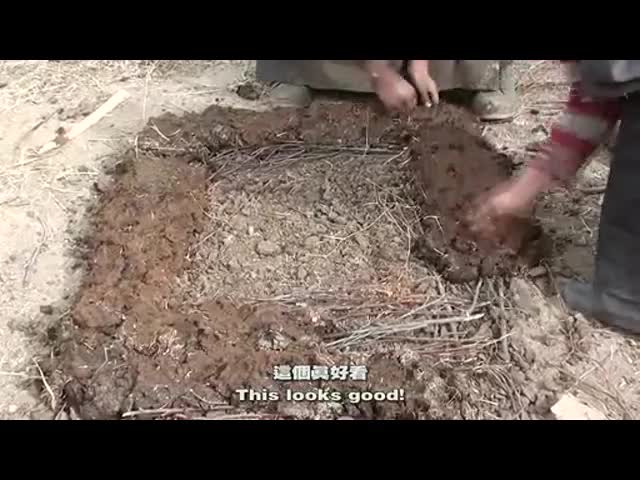紀(jì)錄片《牛糞》