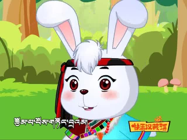 小獅子愛爾莎（下）（11.27）