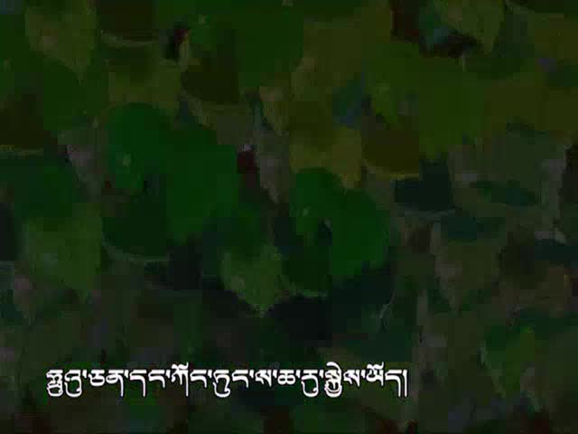 爬山虎的腳（中）（07.02）