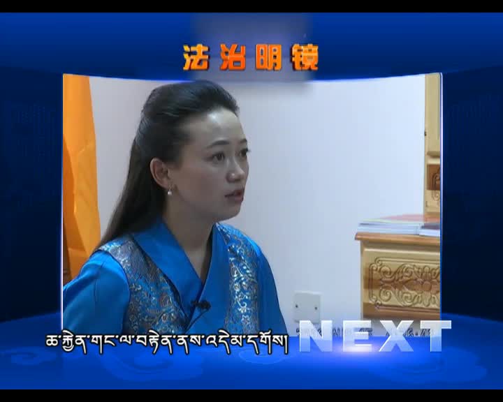 政法機關如何當好法治建設的助推器（10.27）