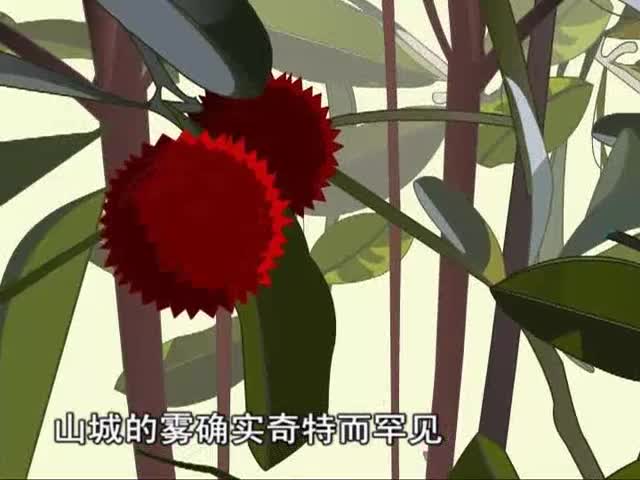 我愛故鄉(xiāng)的楊梅（上）（11.10）