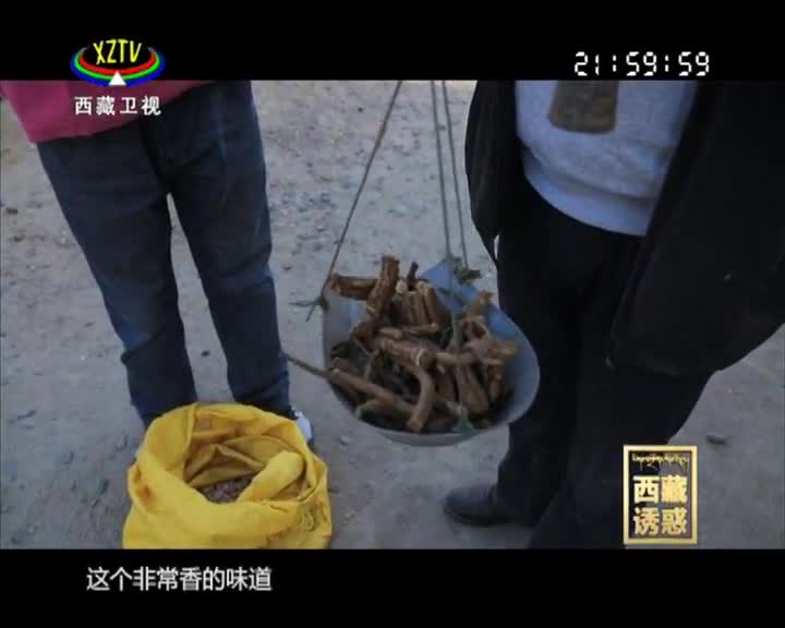《西藏誘惑》格桑羅布的創業夢