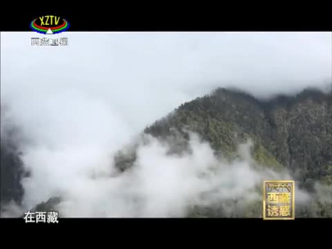 《西藏誘惑》雪山下的黑珍珠