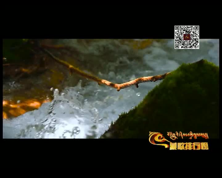 藏歌排行榜（漢語版1223）