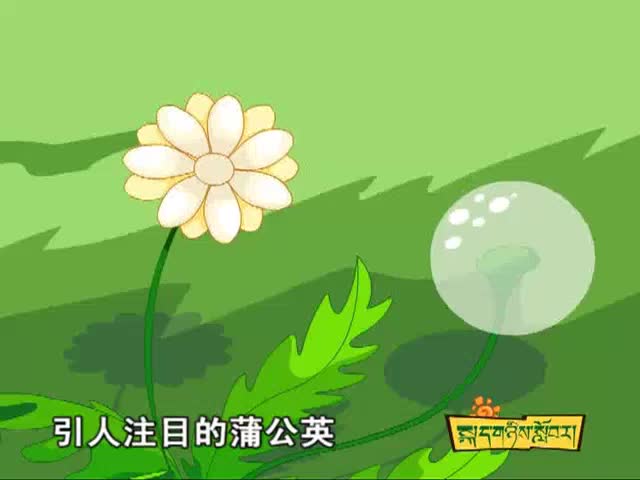 金色的草地(上）