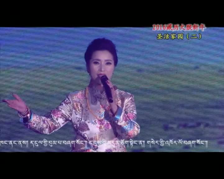 2016藏歷火猴新年圣潔家園二（2.28）