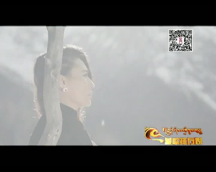藏歌排行榜（藏語版0108）