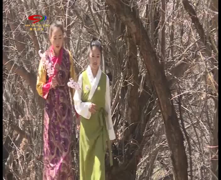 得榮：春日桃花 灼灼其華