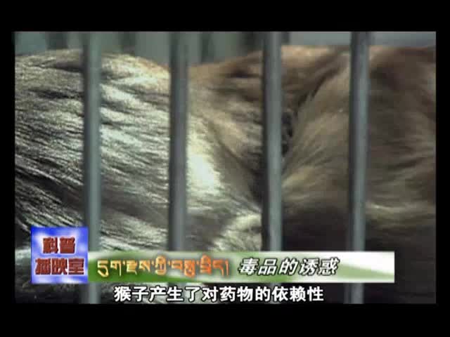 云丹學科技0618