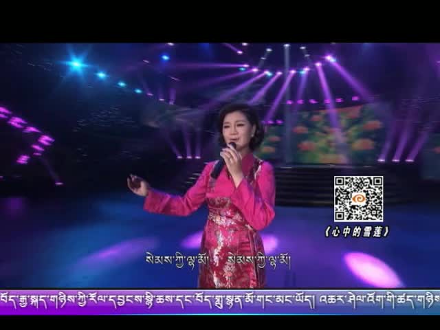 心中的雪蓮（17.01.30）