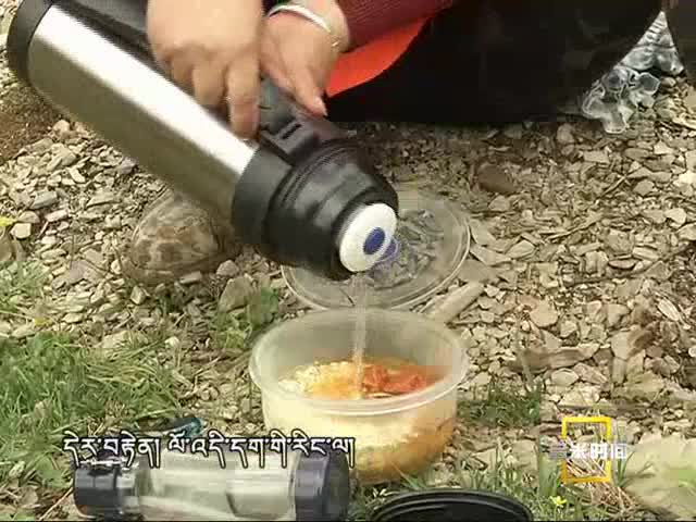 路邊的格桑花