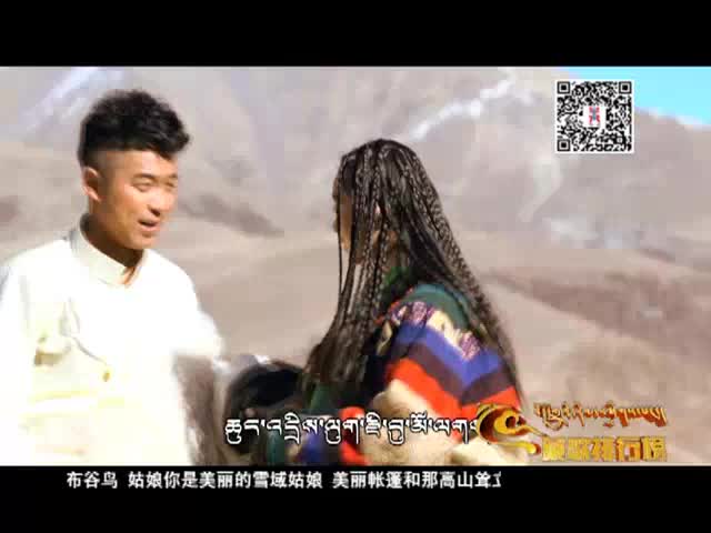 藏歌排行榜（漢語版0417）