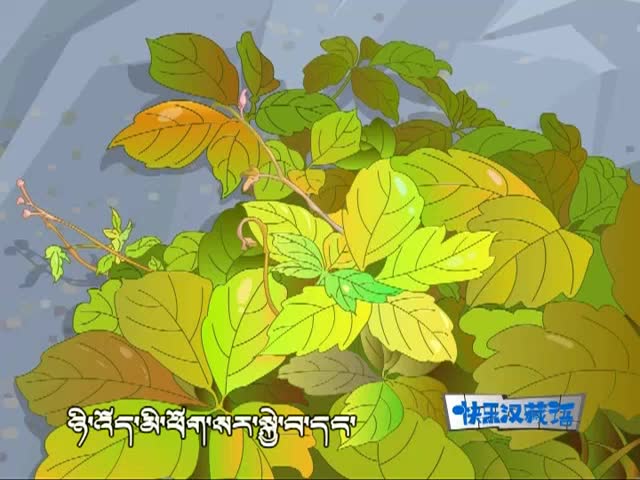 爬山虎的腳（下）（07.06）