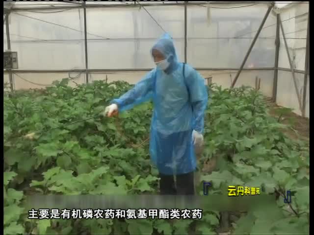 云丹科普苑（04.12）