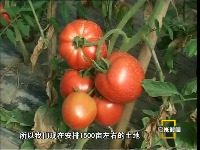 讓林芝發(fā)展更有“溫度”（04.10）