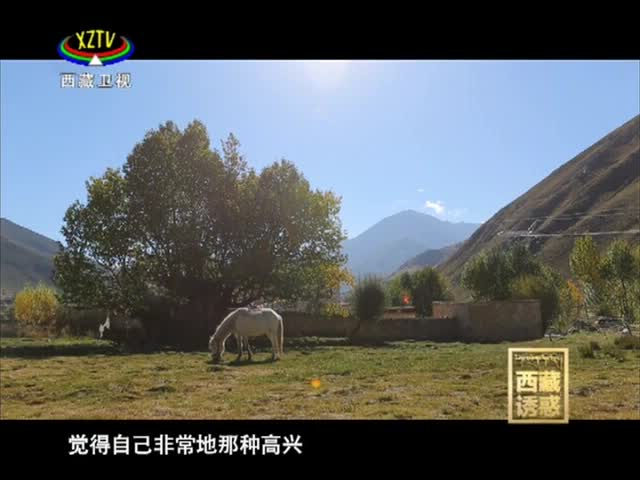 《西藏誘惑》斯塔多吉與格薩爾