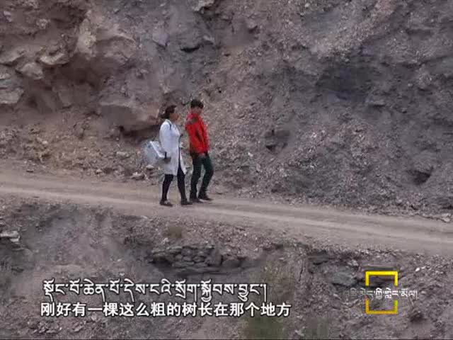瀾滄江邊的白衣卓瑪（7.14）