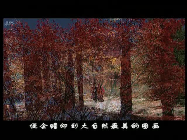 鄒太明——天堂之水