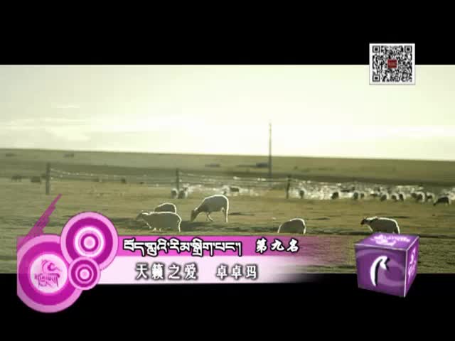 藏歌排行榜（藏語版0124）