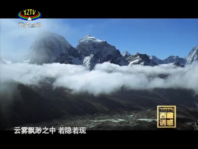 《西藏誘惑》藥山尋藤