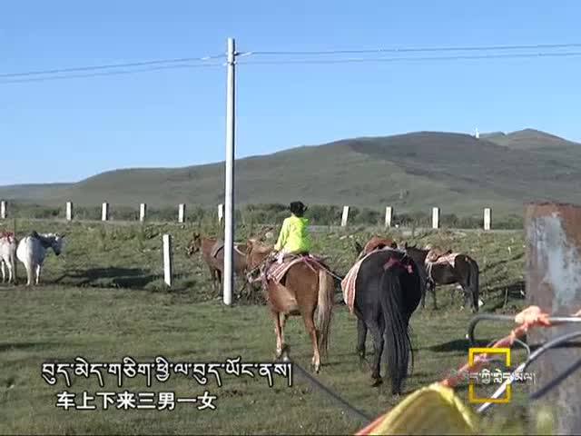 草原上的瓊拉杰（11.10）