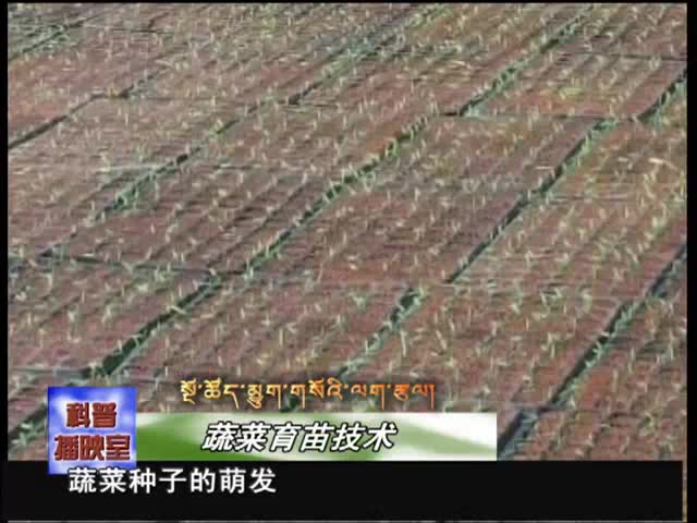 云丹學科技0430