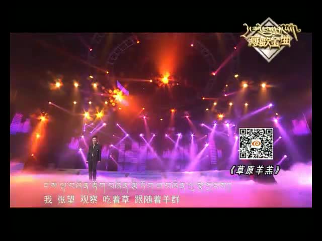草原羔羊（17.03.13）
