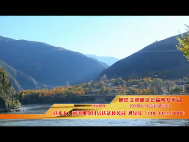 《康巴衛視藏區公益幫扶平臺》第十六期 阿壩州金川縣雪梨銷售項目