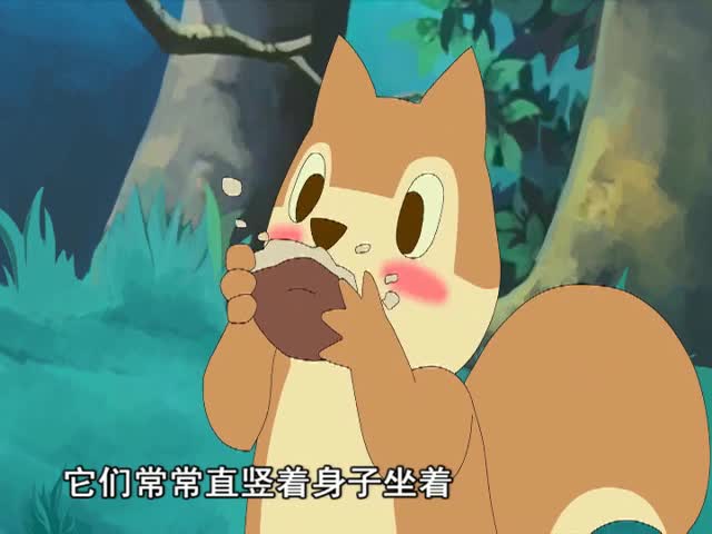松鼠 上（16.10.06）