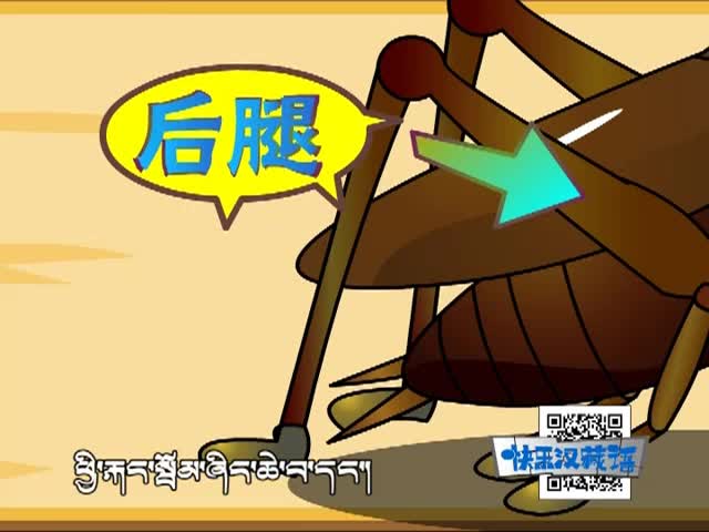 蟋蟀的住宅（上）（07.07）
