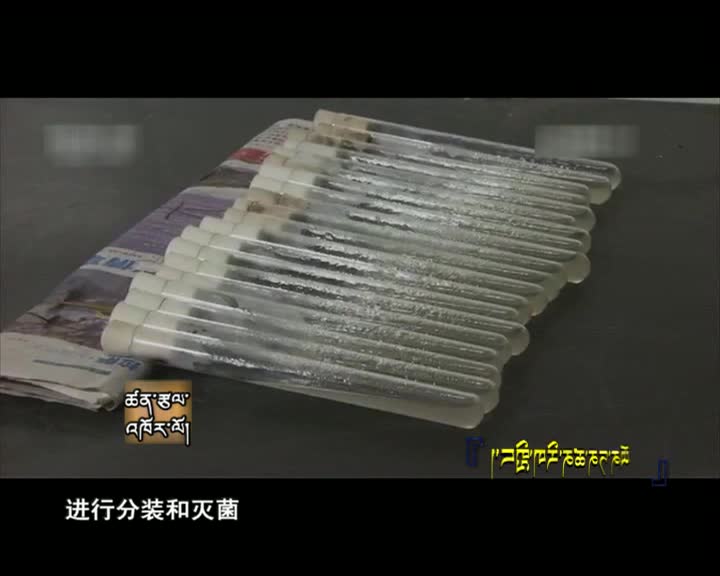 云丹科普苑（04.20）