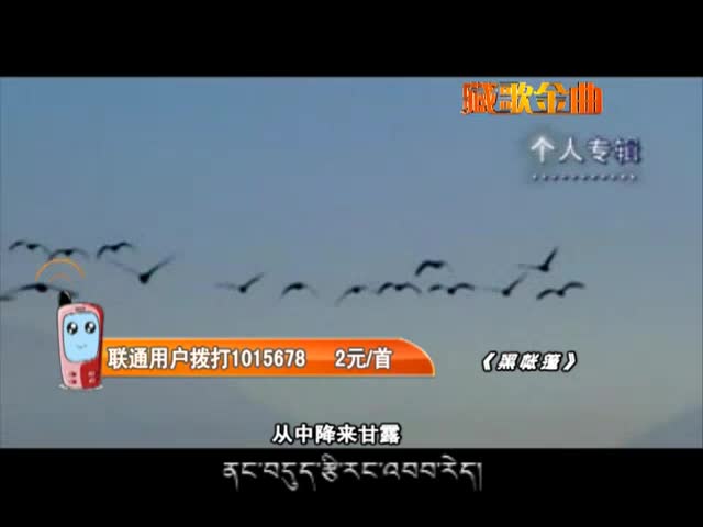 扎西尼玛《黑帐篷》（11.25）