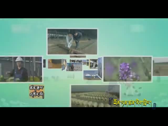 云丹科普苑（01.25）