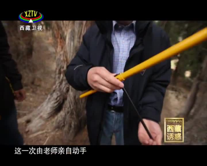 《西藏誘惑》巴吉村的“巨人”